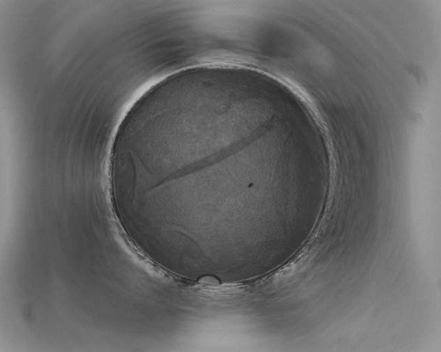 X0000115720864200911121449