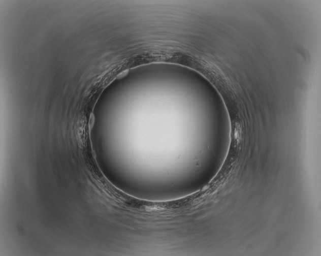 X0000115720867200911121448