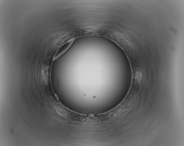 X0000115720868200911121448