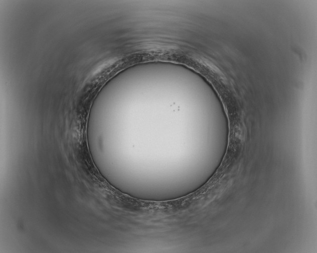 X0000115720869200911121448