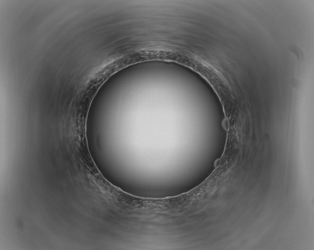 X0000115720870200911121448