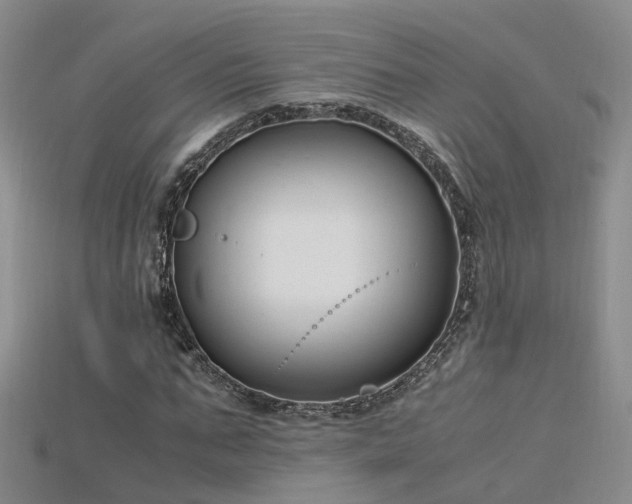 X0000115720871200911121448