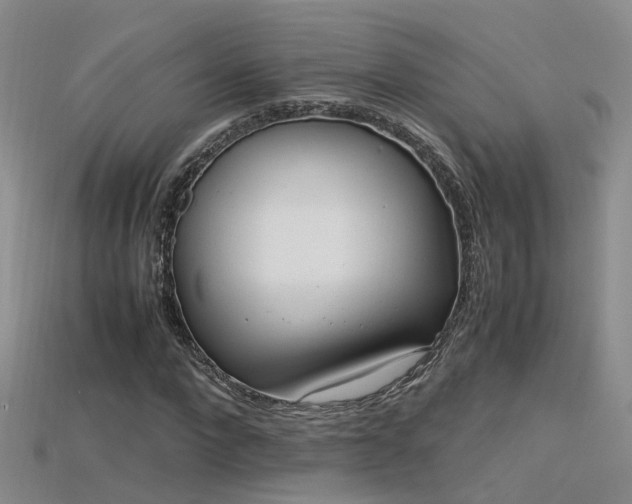 X0000115720872200911121448