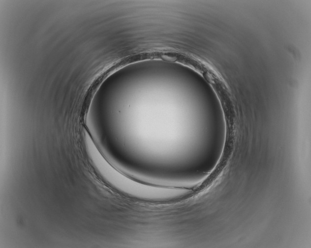 X0000115720873200911121448