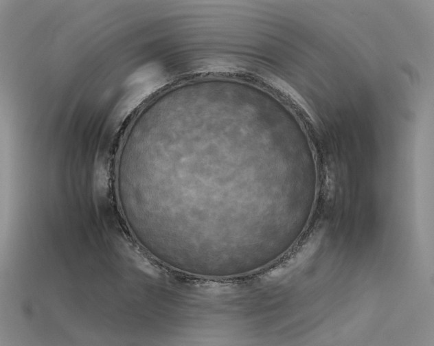 X0000115720874200911121448