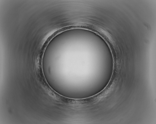X0000115720875200911121448