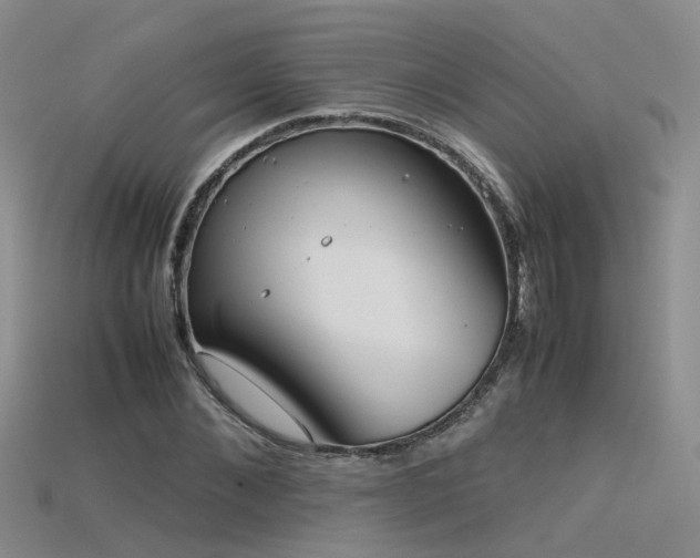 X0000115720876200911121448