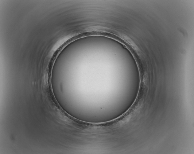 X0000115720877200911121448