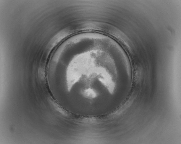 X0000115720882200911121448