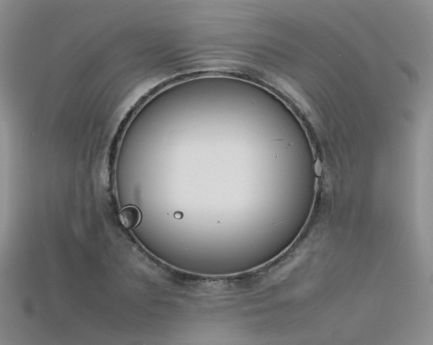 X0000115720883200911121448