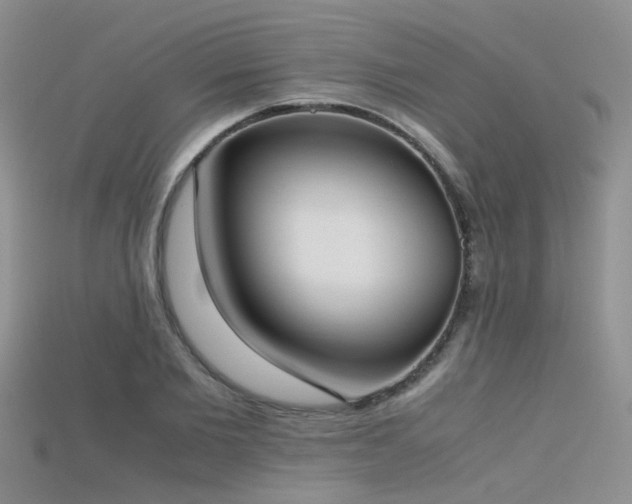 X0000115720885200911121448