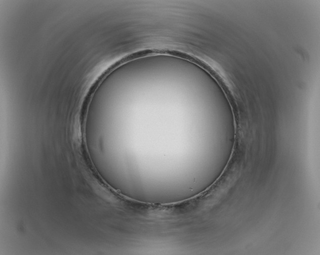 X0000115720887200911121448