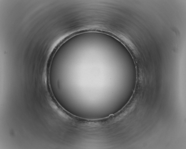 X0000115720888200911121448