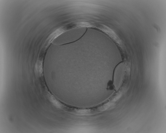 X0000115720889200911121448