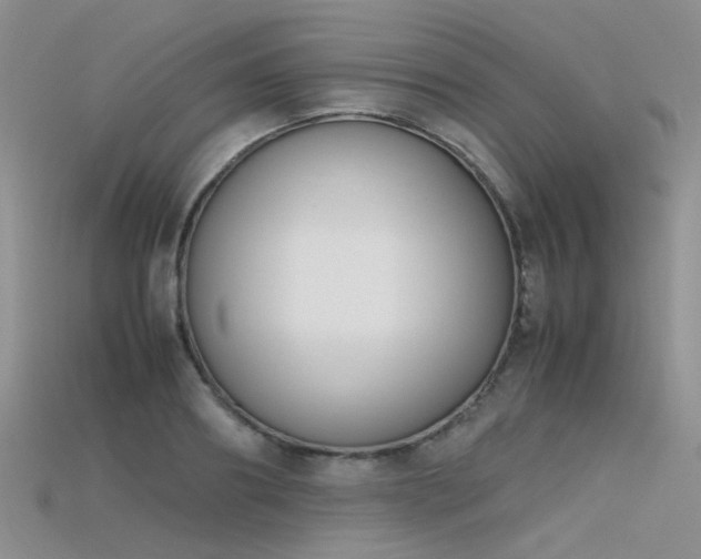 X0000115720890200911121448