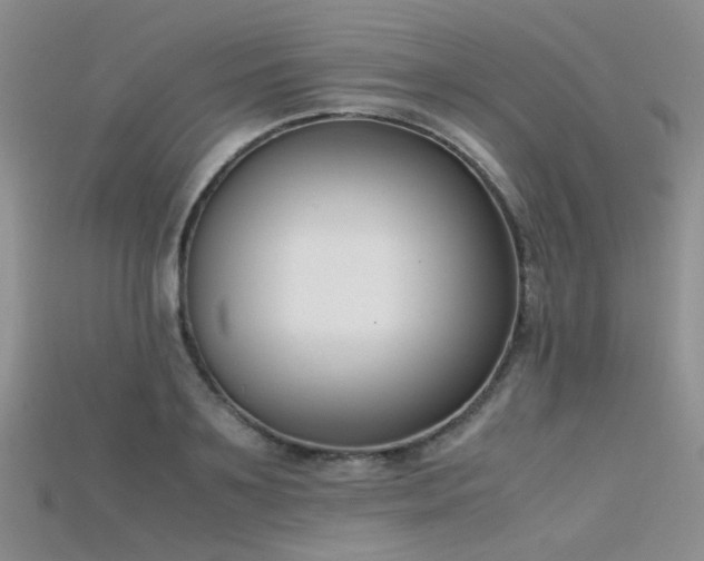 X0000115720891200911121448