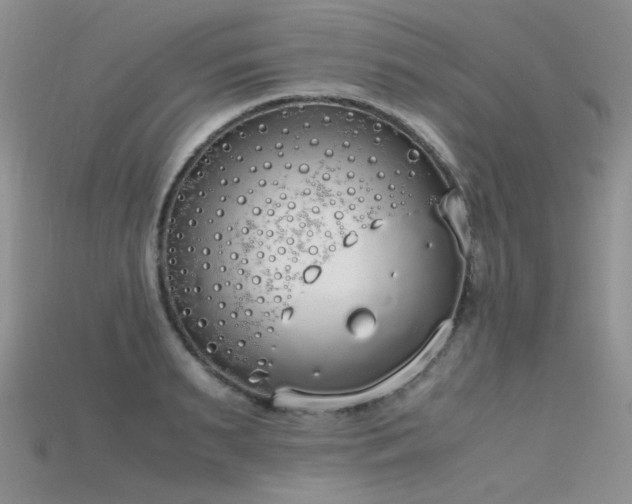 X0000115720895200911121448