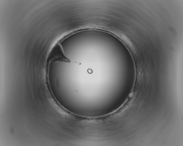 X0000115720896200911121448