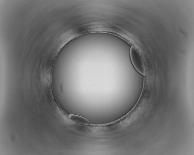 X0000115720897200911121448