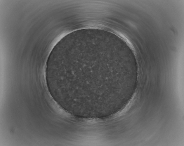 X0000115720899200911121448
