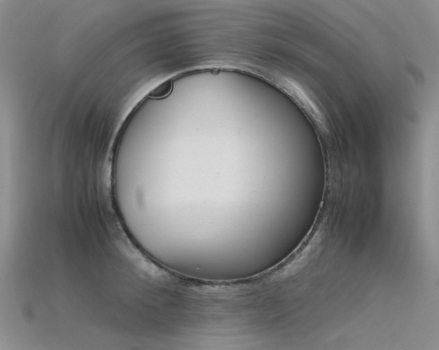 X0000115720900200911121448