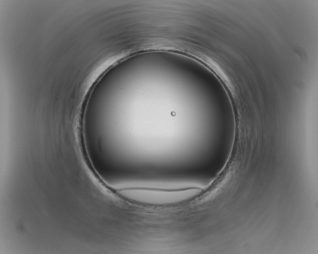 X0000115720901200911121448