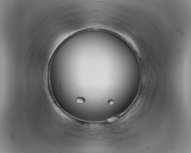 X0000115720903200911121448
