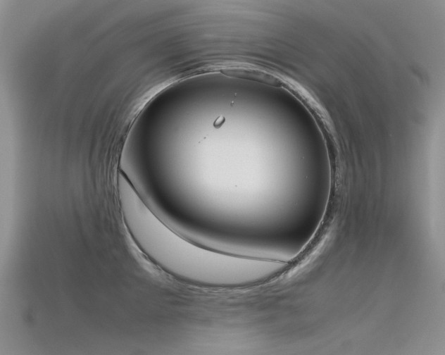X0000115720905200911121448