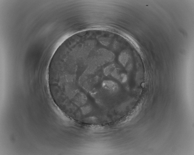 X0000115720907200911121448