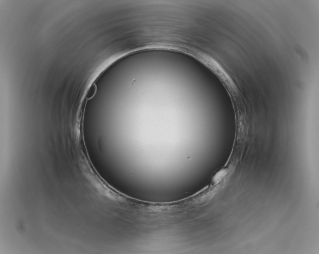 X0000115720908200911121448