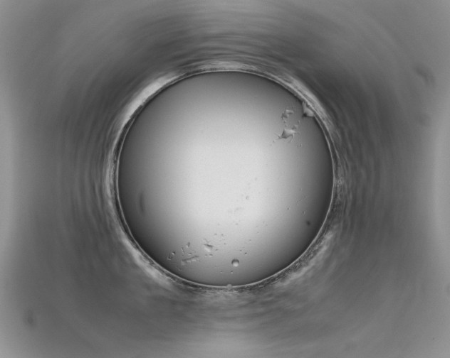 X0000115720909200911121448