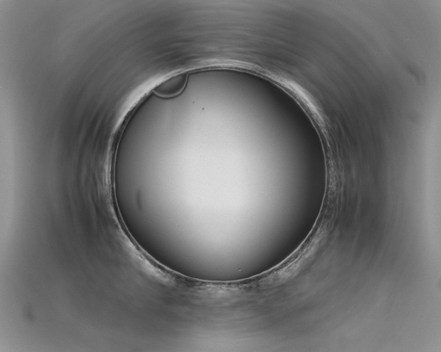 X0000115720910200911121448
