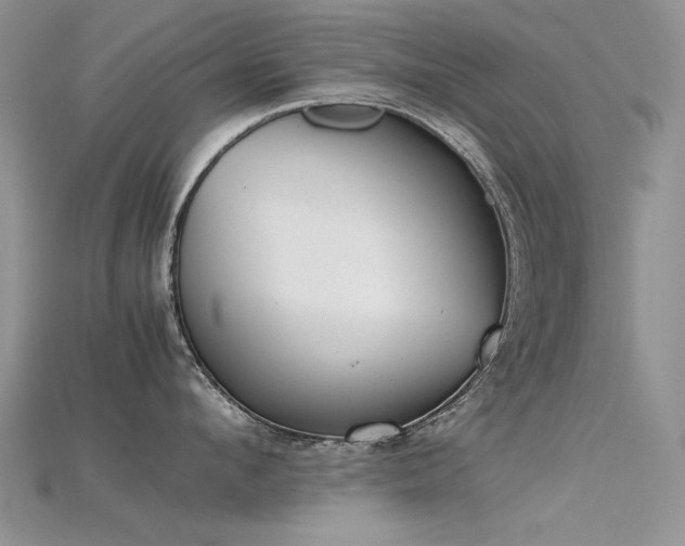 X0000115720912200911121448