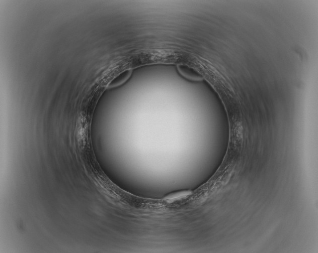 X0000115720914200911121447