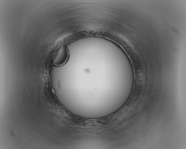 X0000115720918200911121447