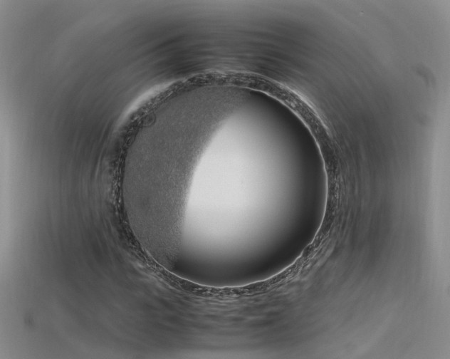 X0000115720919200911121447