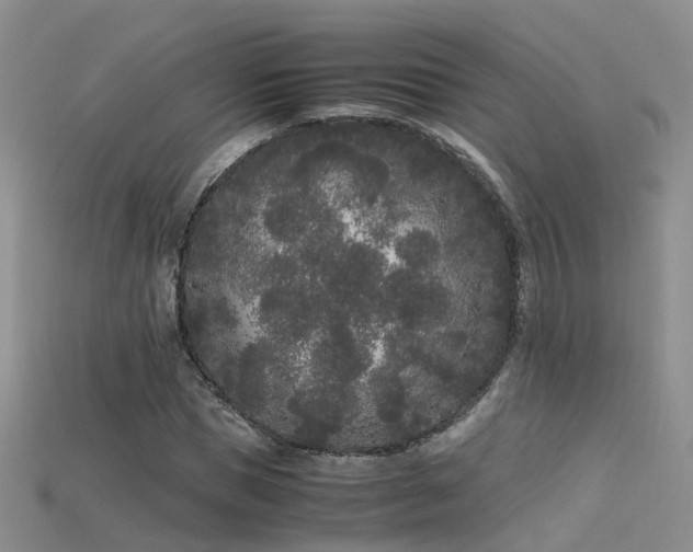 X0000115720921200911121447