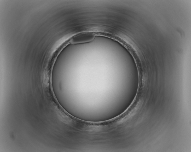 X0000115720925200911121447