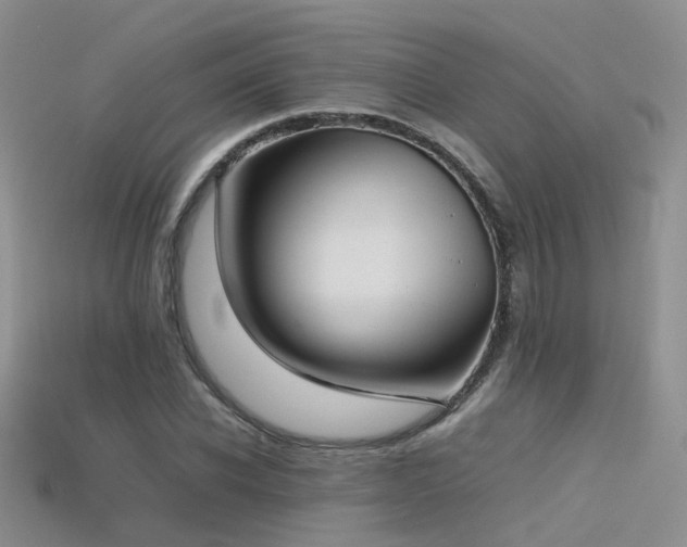 X0000115720926200911121447