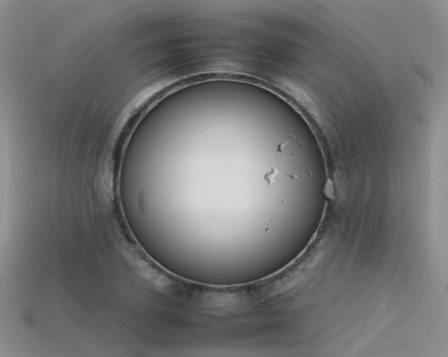 X0000115720931200911121447