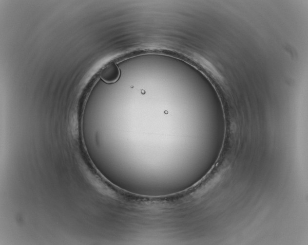 X0000115720934200911121447