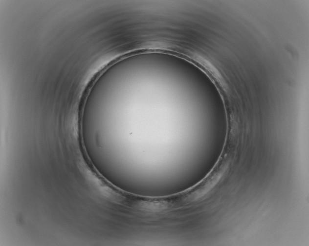 X0000115720939200911121447