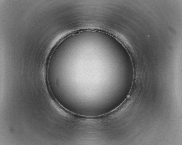 X0000115720942200911121447