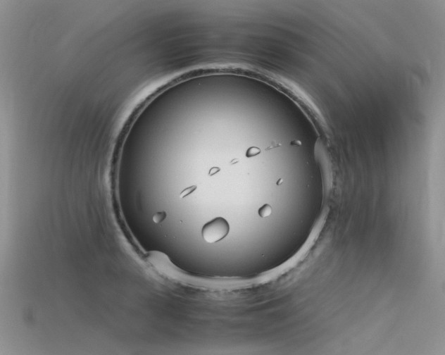 X0000115720943200911121447