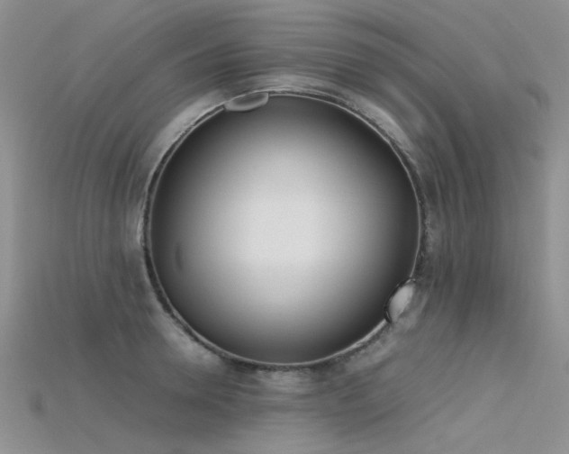 X0000115720946200911121447