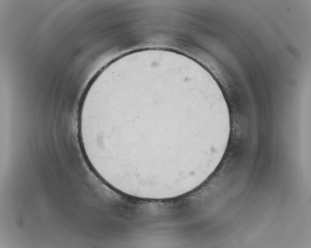 X0000115720950200911121447