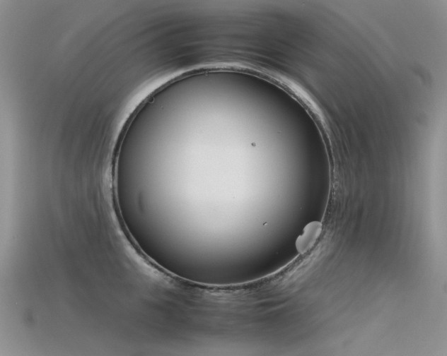 X0000115720951200911121447