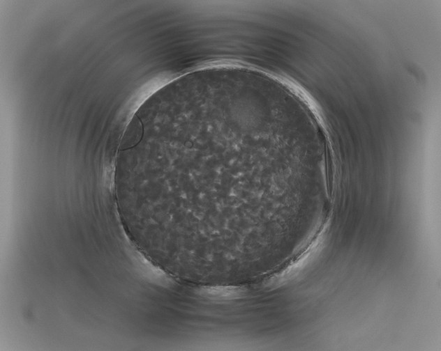 X0000115720953200911121448