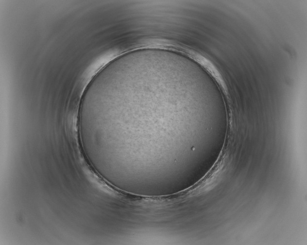 X0000115720954200911121448