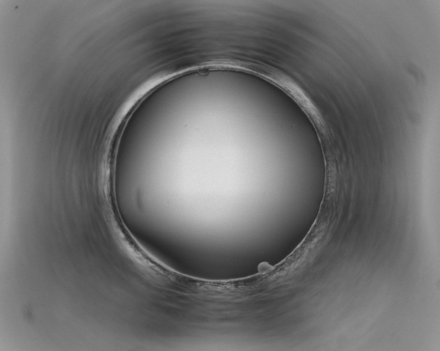 X0000115720955200911121448